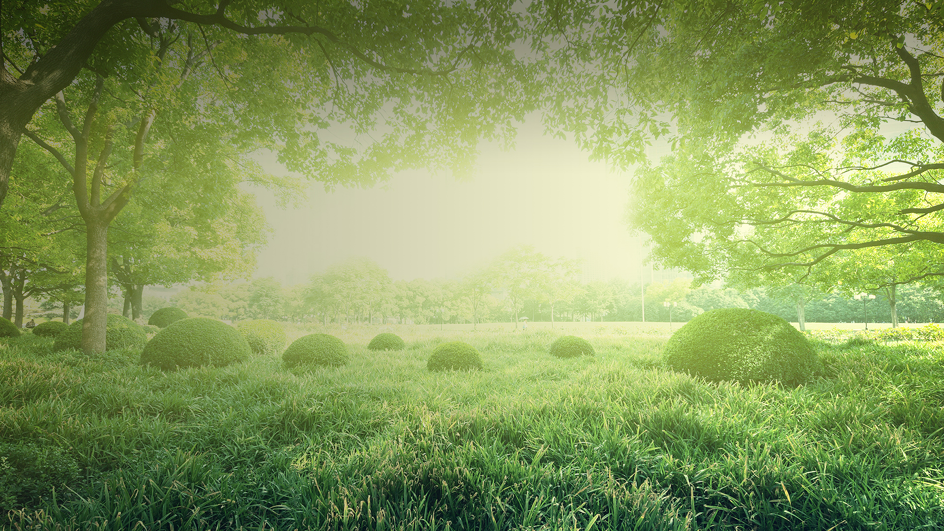SENITE brand background